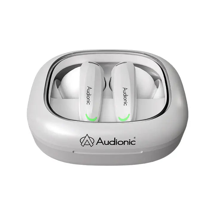 Airbud 735 Ion with ANC